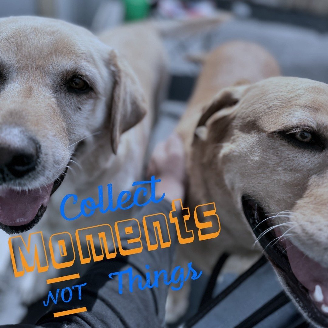 One 30-Min + One 60-Min Walk -(Monthly)