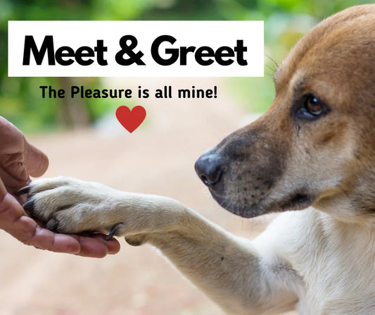 Complimentary Meet & Greet