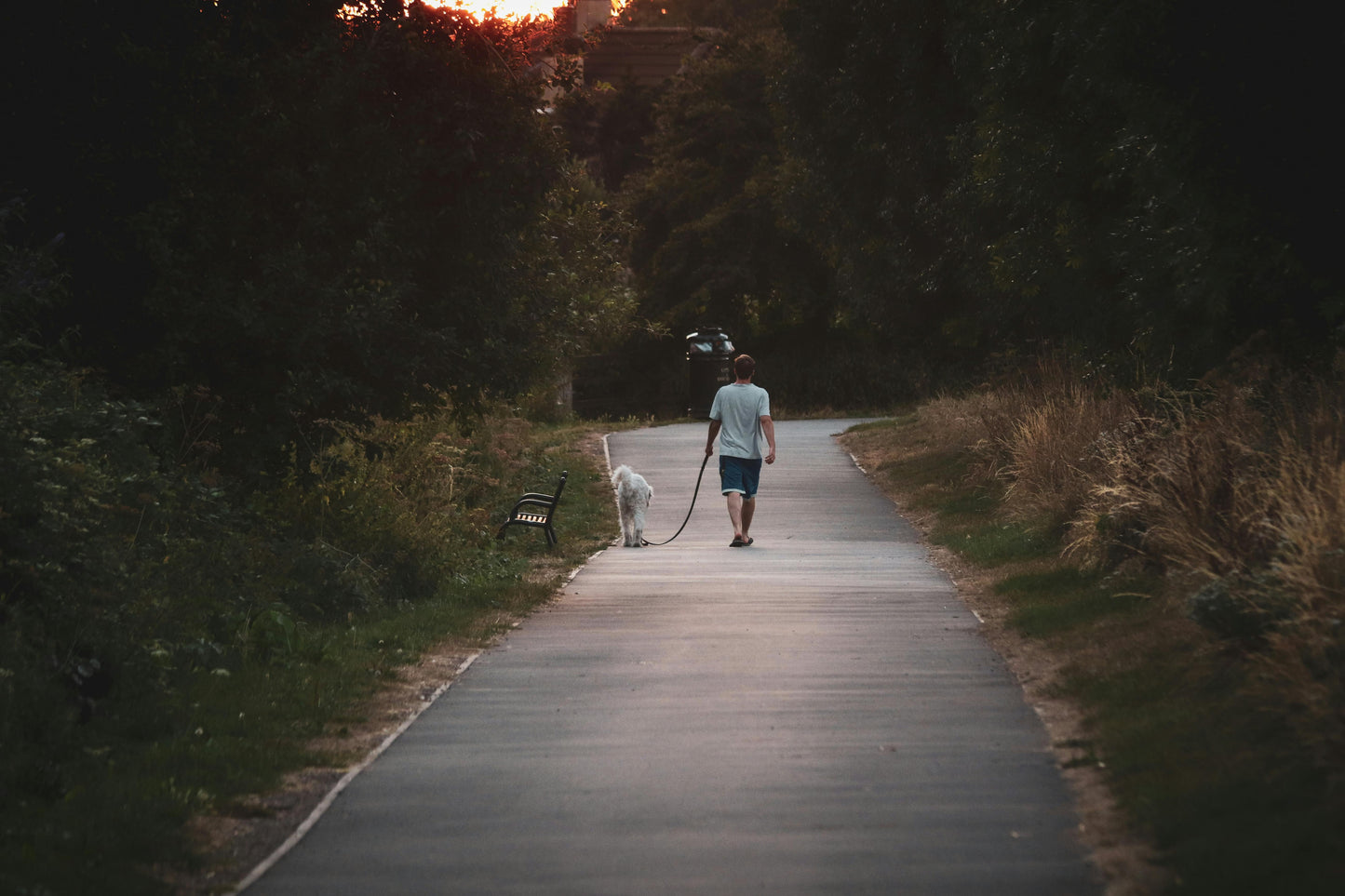 Additional Dog (Same Household)